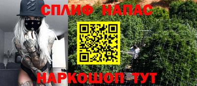 сатива Ливны