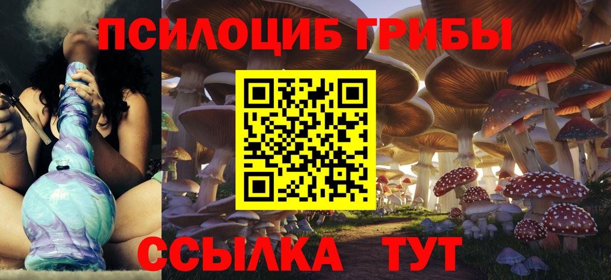 Заволжье  купить наркоту  Вход с VPN  Галлюциногенные грибы прущие грибы 